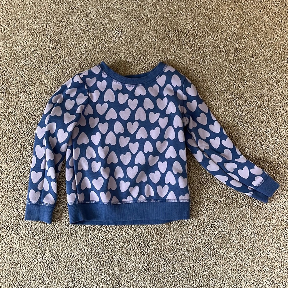 Cat & Jack girls sweatshirt